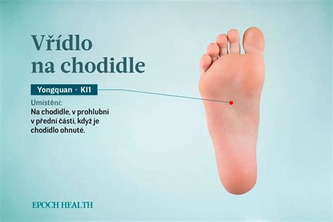 Infografika akupunktúrnych bodov na chodidle (bod Yongquan) používaných pri aplikácii cesnakovej pasty