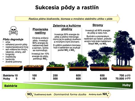 Infografika makro a mikroživín: zoznam prvkov a ich špecifický vplyv na zdravie rastlín.