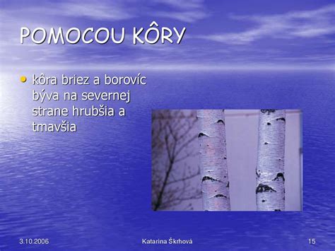 Schéma rozmiestnenia stromov v záhrade podľa svetových strán (najvyššie stromy na severe, najmenšie na juhu)