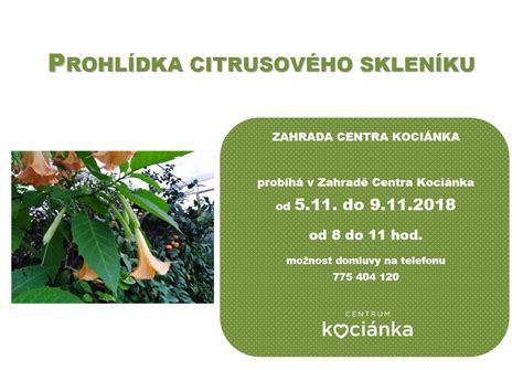 Názorná schéma správneho presádzania citrusového stromčeka