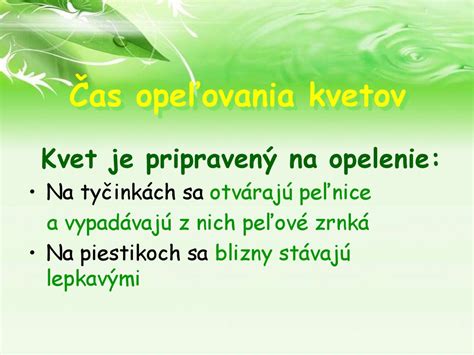 Ilustrácia procesu opeľovania kvetov jabloní.