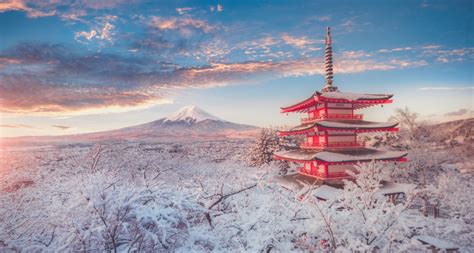 Schéma siedmich etáp pestovania ryže v Japonsku od sadeníc až po zber