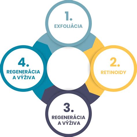 Infografika: Kľúčové kroky v starostlivosti o trvalky