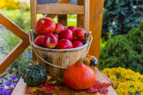 Infografika: Harmonogram preventívnych prác v záhrade od jesene do jari