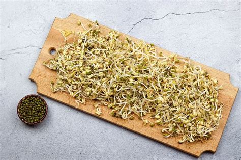 Tematická fotografia mungo fazule