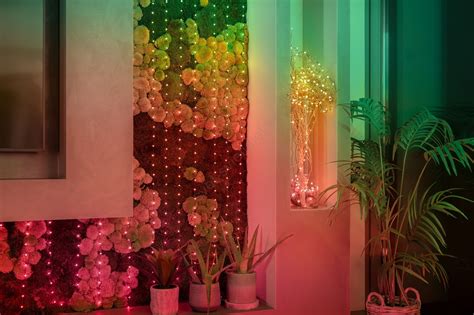 Ilustračná fotografia flexibilného LED pásika s rastlinami v interiéri