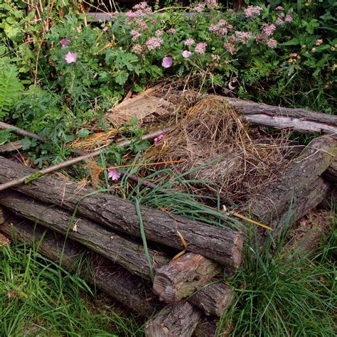 Ilustrácia kompostovacej kopy so záhradným odpadom