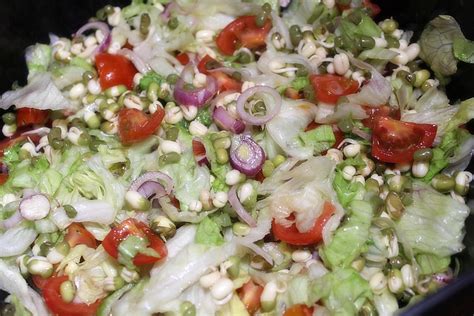 fotka naklíčených mungo fazuliek v kvetináči