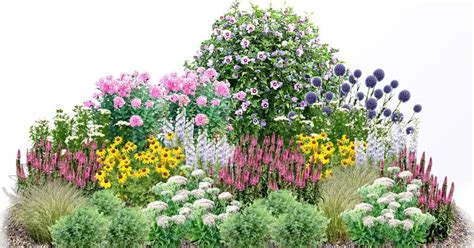 Schematické znázornenie ideálneho umiestnenia rastliny na slnečnom mieste