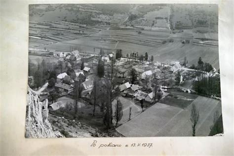 archívna fotografia z roku 1952 zachytávajúca žatevné práce na ryžových poliach v lokalite Zalaba
