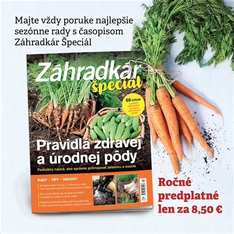Ilustrácia zdravej, úrodnej pôdy s rastlinami.