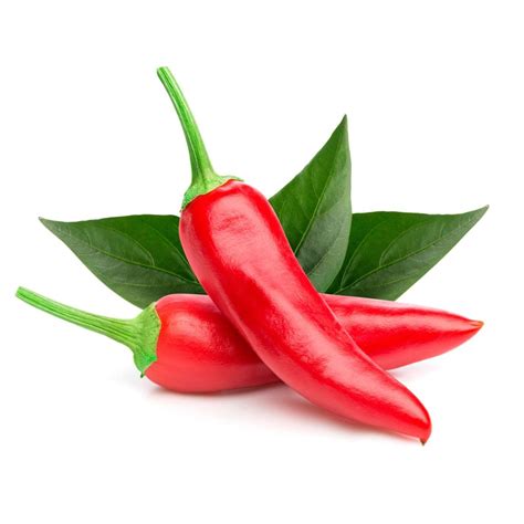 ilustrácia znázorňujúca správnu výsadbu čili papričky do kvetináča s vrstvou keramzitu na dne