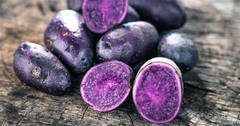 Zemiaky Violet Queen čerstvo vykopané