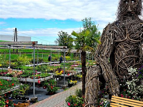 Záhradné centrum s bohatou ponukou rastlín a záhradníckych potrieb
