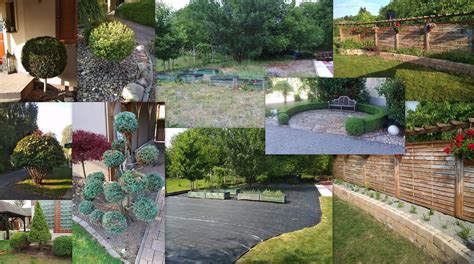 Ukážka okrasných kríkov a stromov vhodných do záhrady