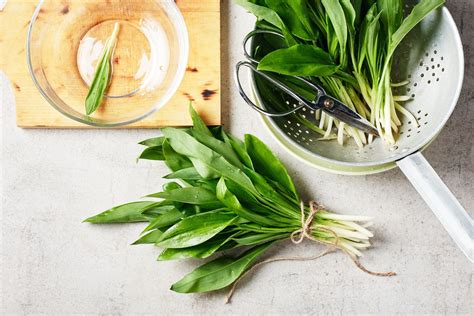 Koláž ingrediencií pre domáce postreky (cesnak, čili, žihľava, mydlo, ocot)