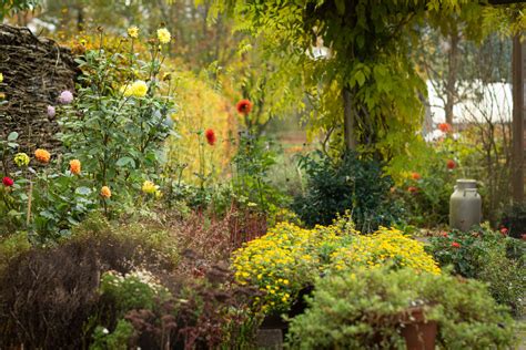 záhrada s rôznymi typmi štrku a rastlín