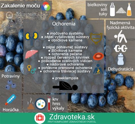 infografika znázorňujúca hlavné príčiny ničenia záhrady psom (nuda, teplo, lov, teritoriálne správanie)
