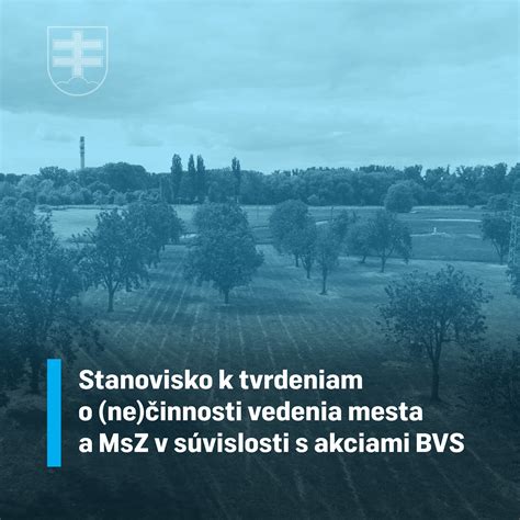 ilustrácia sadenia stromčeka - prehľad krokov