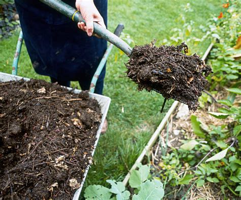 Ilustrácia rôznych druhov hnoja na záhradnom komposte