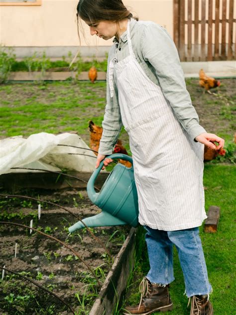 Ilustrácia prípravy tekutého hnojiva zo slepačieho trusu